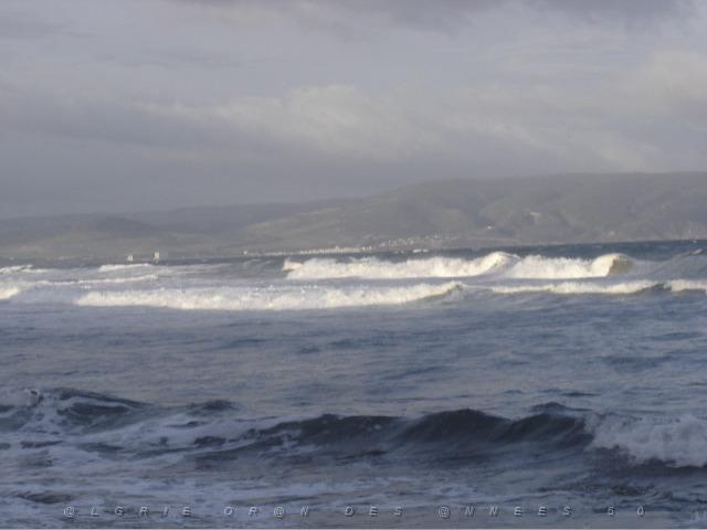 ORAN SEPTEMBRE 2006 LES CORALLES 03.JPG